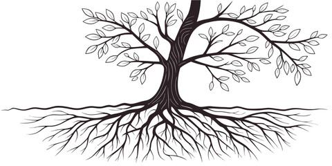 A detailed illustration of a tree with extensive root system below ground © Sp