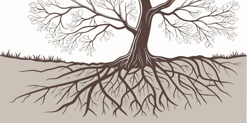 An illustration of a tree with extensive root system beneath the ground © Sp