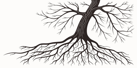 Intricate root system of a tree spreading beneath the ground surface © Sp