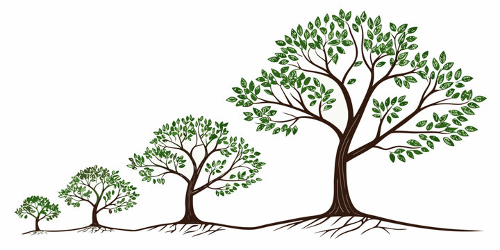 Illustration depicting the stages of growth and development of a tree from sapling to maturity