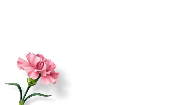 Soft Pink Carnation Floral Border Background with Copy Space