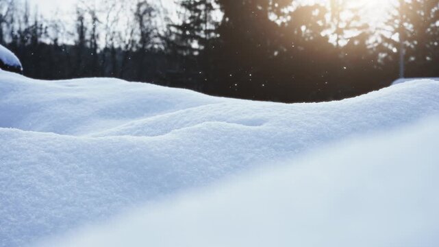 Peaceful Snowy Forest Landscape. Bright Winter Morning In Forest With Gentle Snowfall And Calm Atmosphere