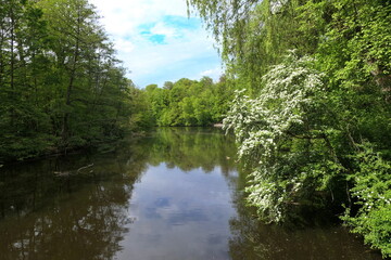 Jacobiweiher bei Frankfurt