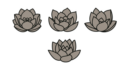 Succulent leaf Line soft abstract tone illustration