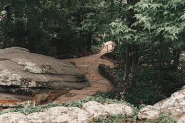 Obraz premium Stone walkway winding through a lush green wooded park