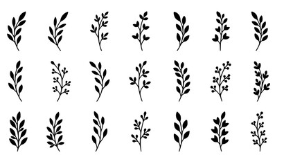 Fototapeta premium Minimalist Organic Branch Silhouette Set – Elegant Spring Summer Botanical Twig Logo Elements Vector