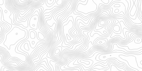 Topographic seamless map pattern with contour lines. Abstract geographic elevation design, lines sea map modern white background. © coal digger