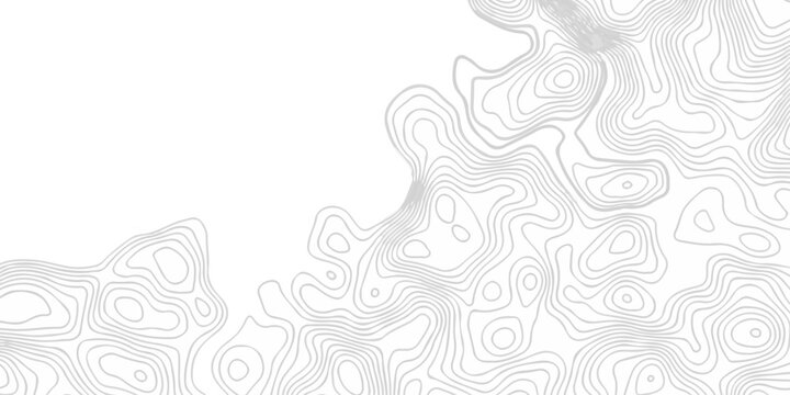 Topographic seamless map pattern with contour lines. Abstract geographic elevation design, lines sea map modern white background.