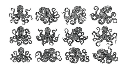 Collection of vintage style octopus illustrations in a grid pattern © Begum