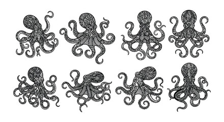 Collection of vintage style octopus illustrations in a grid pattern © Begum