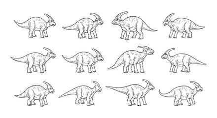 Line drawing depicts several parasaurolophus dinosaurs in varying sizes
