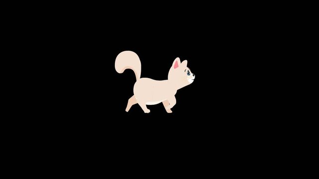 An animation of a cat walking in a loop with an alpha channel 