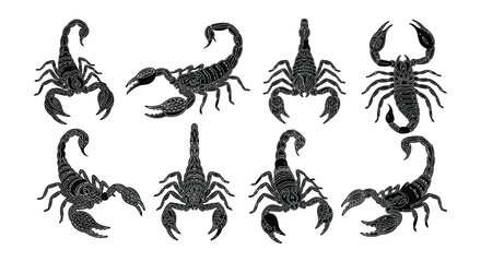 Collection of scorpions in various poses and silhouettes