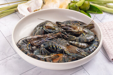 Raw wild frsh Tiger prawn