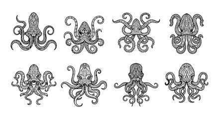 Detailed black and white sketches of multiple octopuses in varied poses © nurjahan