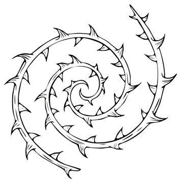 Abstract Spiral with Thorns Line Art Illustration Black and White Design