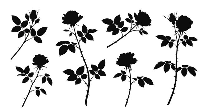 A collection of black silhouette rose blooms and stems with leaves artistically arranged against a white background high quality