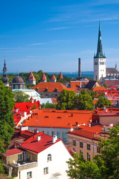 St. Olaf's Church and red roofs of Tallinn Old Town, Estonia