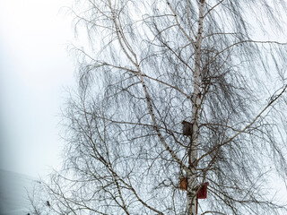 three empty birdhouses