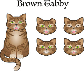 Brown Tabby Cat with Optional Faces