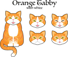 Obraz premium Orange Tabby with White Cat with Optional Faces