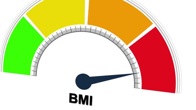 Animated BMI Level Meter Rising to High, Body Mass Index Indicator Gauge. Motion graphics of mater level concept