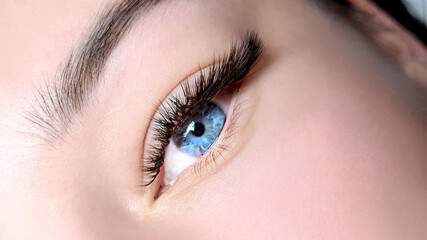 Obraz premium Close up of female eye with eyelash extensions ,eyelash extension procedure.2d volume, 3d volume, classical lashes,Russian volume,mega volume, new set.