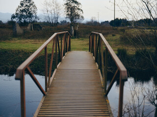 Obraz premium Wooden bridge over calm water in natural landscape with autumn trees and grass under cloudy sky. Concept for nature, outdoors, and peaceful rural environment.