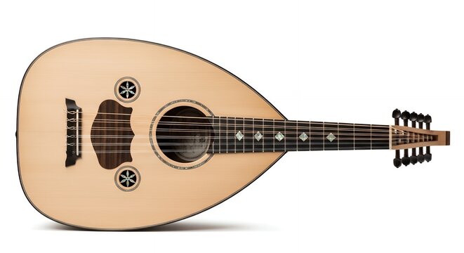 Oud Instrument with Strings and Rosettes on White