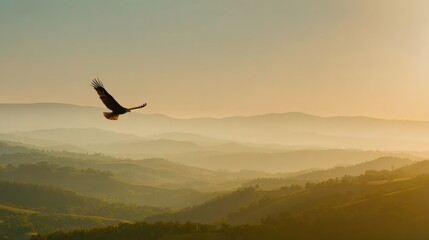 Naklejka premium Majestic eagle soaring over misty mountain landscape at sunrise