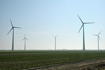 Wind farm near Eemshaven, Netherlands with tall turbines in open field © VeugerStock