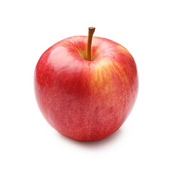 One tasty fresh apple isolated on white