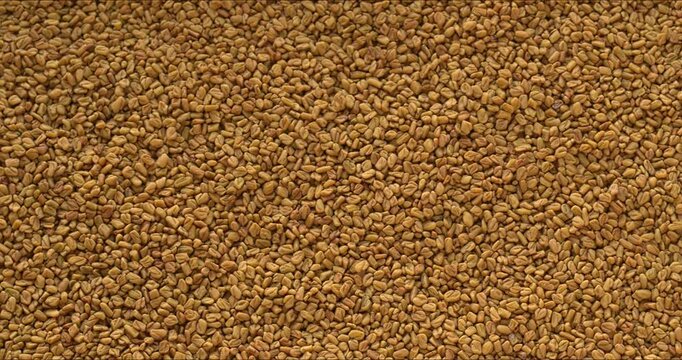 Top view of fenugreek seeds background texture, camera slide.