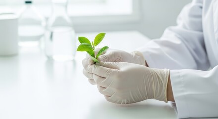 Laboratory Experiment on Natural Plants