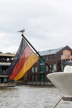 LEER, GERMANY - SEPTEMBER 11, 2025: A seagull perched on a flagpole with the German national flag on the stern of a boat in the harbor, with city buildings and water in the background.