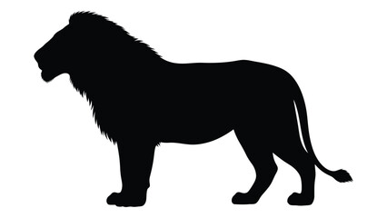 A striking silhouette of a male lion showcasing its majestic mane and powerful build © Payara