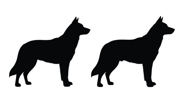Two german shepherd silhouettes are shown in a side profile view against a white background