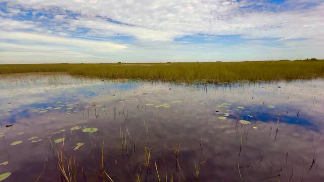 Fast airboat skimming the swamp waters of the Everglades National Park in Florida