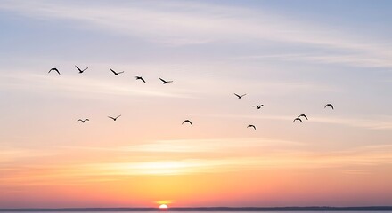 Sunset over ocean with flying birds.