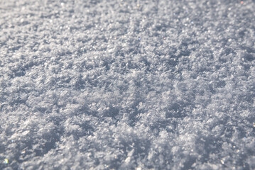 Winter fresh fluffy snow texture