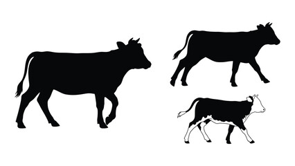Black silhouettes of two cows and a calf standing in different poses © Payara