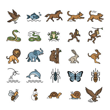 Collection of various cartoon animals on for kids and education