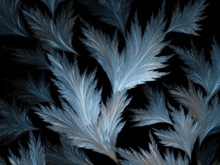 Obraz premium frost pattern luminous isolated on a black background