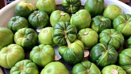 Abundant Cluster of Fresh Green Tomatoes Ripening on a Tray Displaying Diverse Shades and Textures in a Harvest Setting