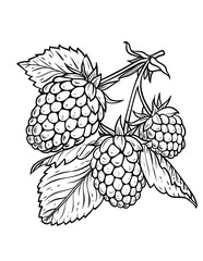 exotic fruits coloring pages, tropical fruit coloring pages, fruit coloring book, printable fruit coloring, kids coloring pages fruit, adult coloring fruit