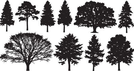 Fototapeta premium Minimalist black silhouette tree collection isolated on transparent background, Vector, illustration