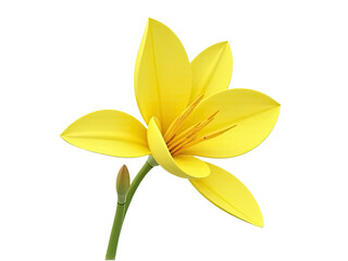 Fototapeta premium A bright and cheerful yellow flower sits alone on its stem against a clean white background