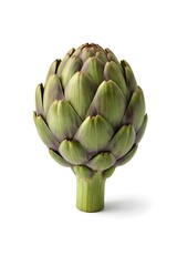 Fototapeta premium A fresh artichoke is displayed on a plain white surface. The vegetable shows its layers of green leaves, inviting attention to its texture and form