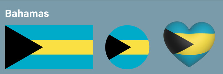 set Bahamas flag icon vector illustration 