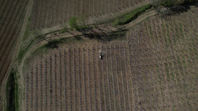 Tracked vineyard tractor performing soil leveling and inter-row maintenance in Colli Piacentini wine region, Piacenza, Italy, operating on structured vineyard pattern across hillside terrain